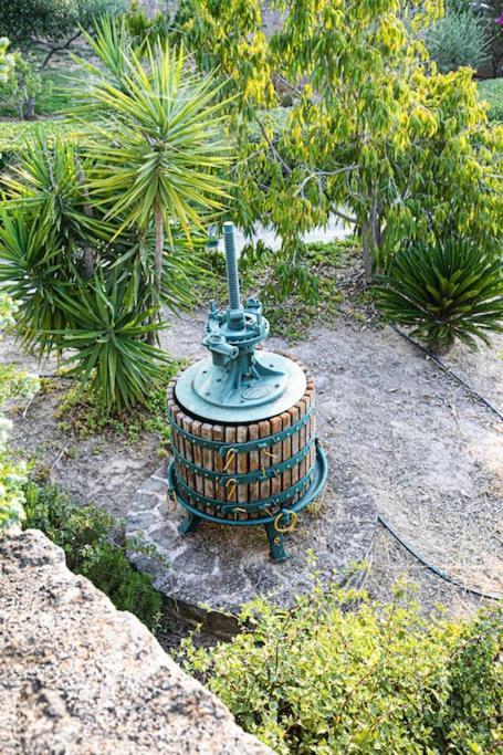 Pines & Sea Studio Agioi Ngoại thất bức ảnh